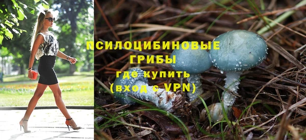 крисы Алзамай