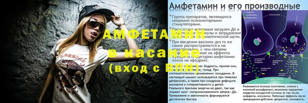 крисы Алзамай