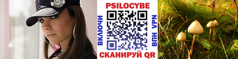 Псилоцибиновые грибы Cubensis  как найти   Шумиха 